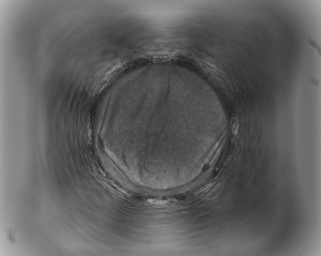 X0000101141252200807251018