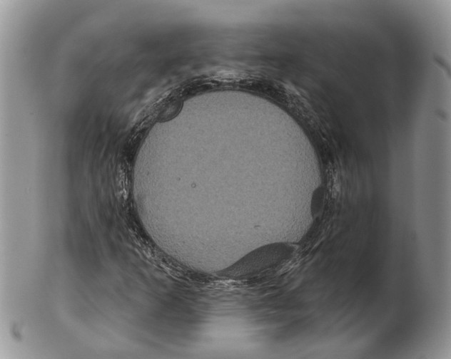 X0000101141253200807251018