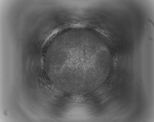 X0000101141254200807251018