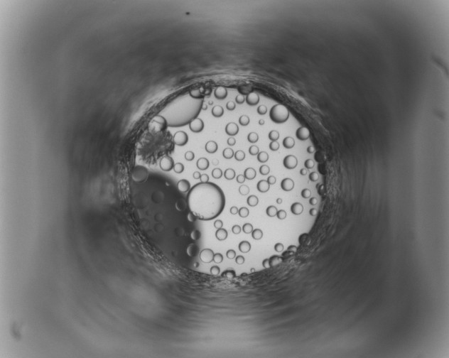 X0000101141255200807251018