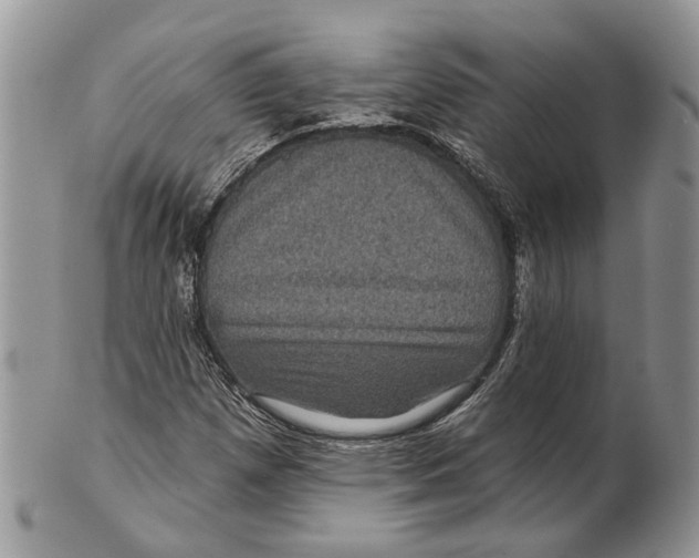 X0000101141257200807251018