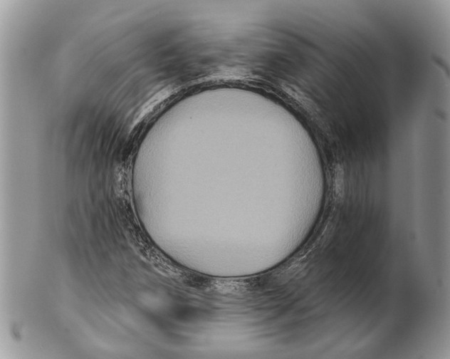 X0000101141258200807251018