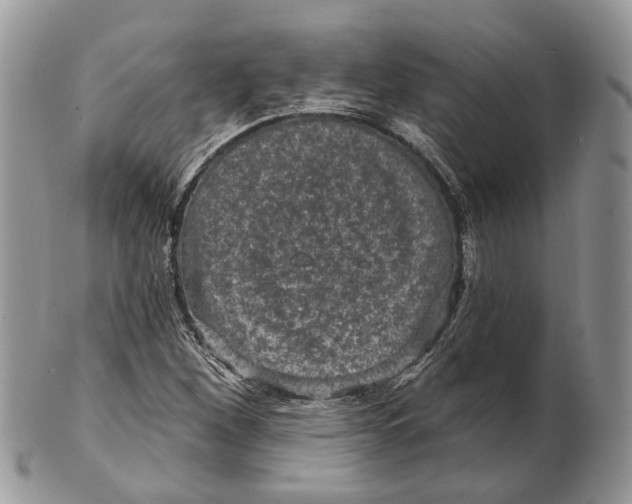 X0000101141260200807251018