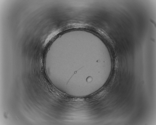 X0000101141261200807251018