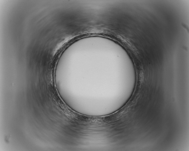 X0000101141262200807251018