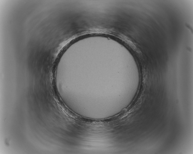 X0000101141264200807251018