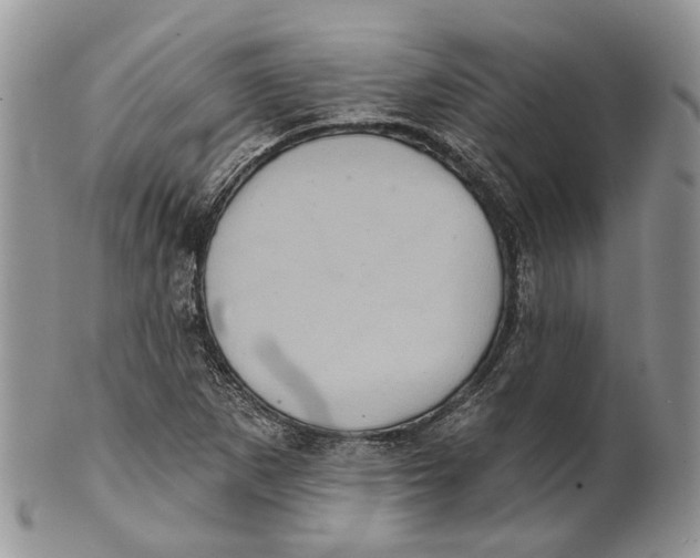 X0000101141265200807251018