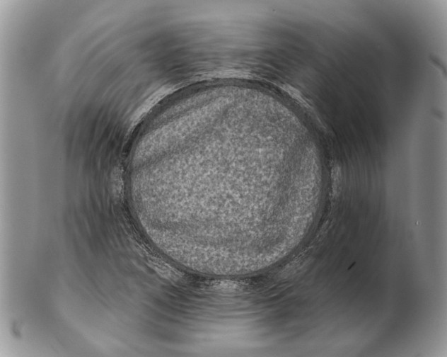 X0000101141266200807251018