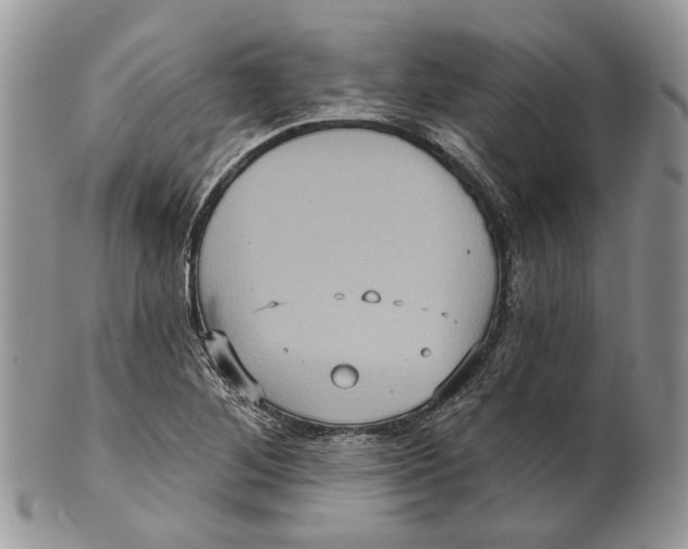 X0000101141268200807251018