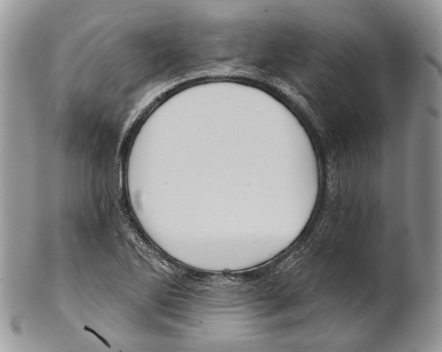 X0000101141270200807251018