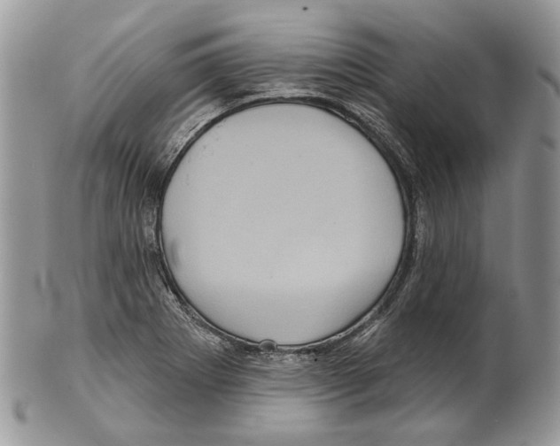 X0000101141273200807251018