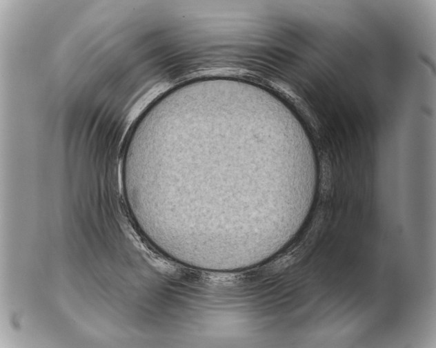 X0000101141274200807251018