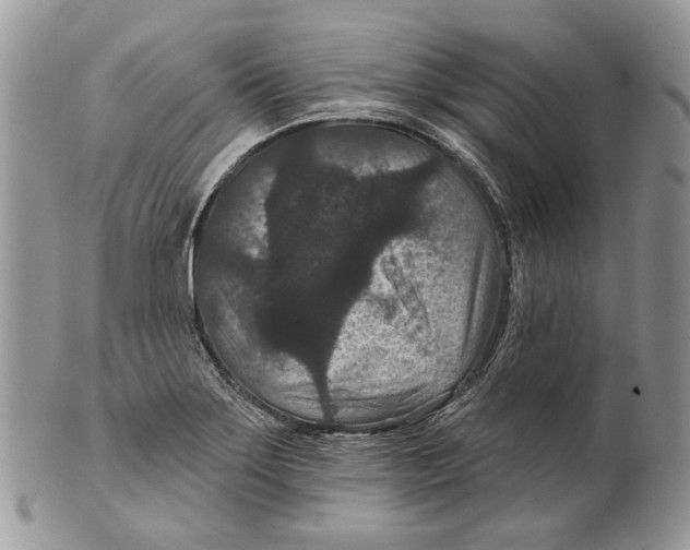 X0000101141275200807251018