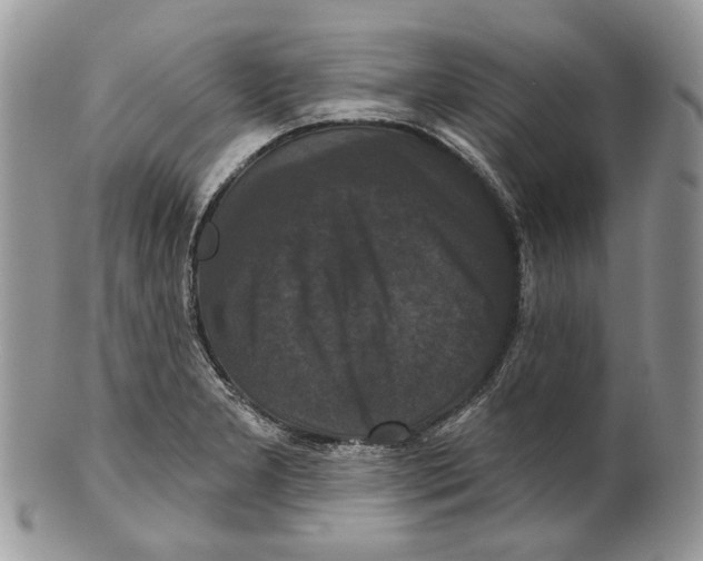 X0000101141277200807251018