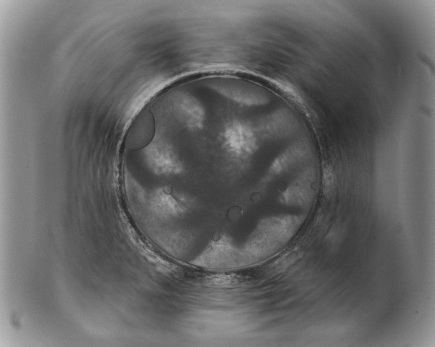 X0000101141279200807251018