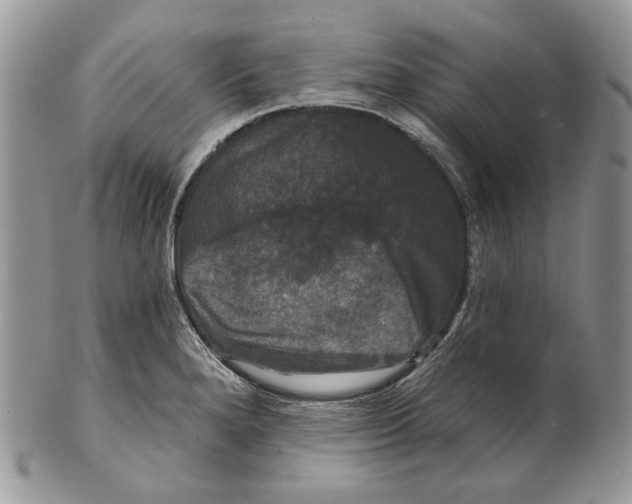 X0000101141280200807251018