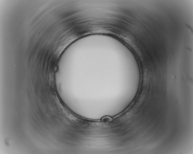 X0000101141281200807251018