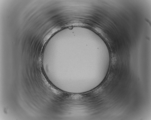 X0000101141282200807251018