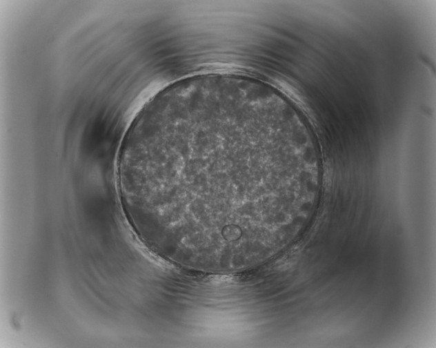 X0000101141283200807251018