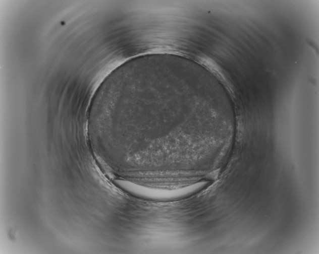 X0000101141284200807251018