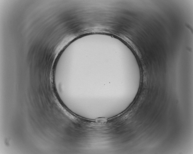 X0000101141285200807251018