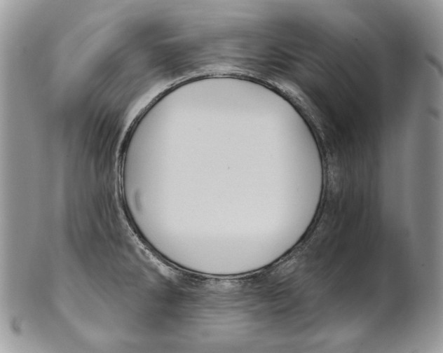 X0000101141286200807251018