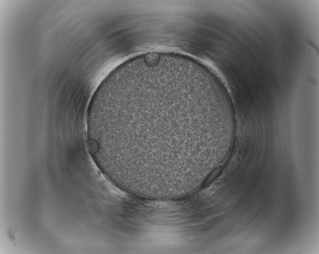 X0000101141287200807251018