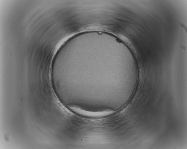 X0000101141288200807251017