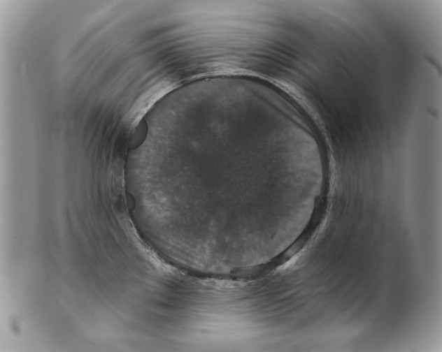 X0000101141289200807251017