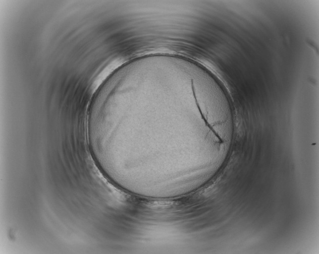 X0000101141290200807251017