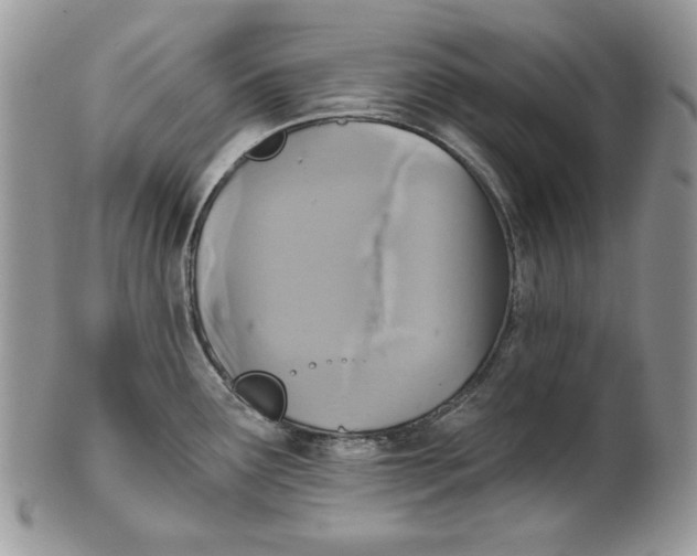 X0000101141291200807251017