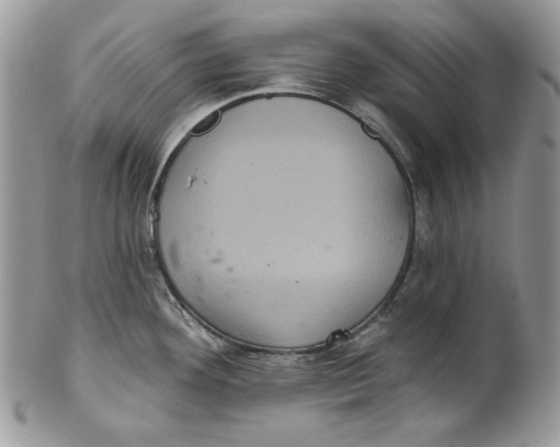 X0000101141292200807251017