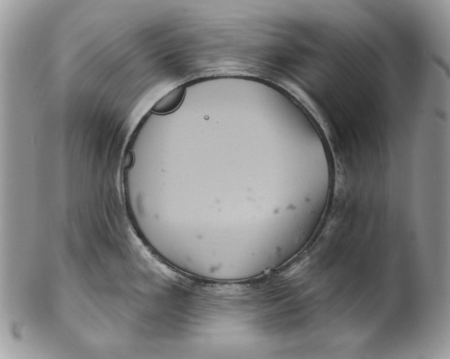 X0000101141293200807251017