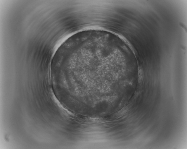 X0000101141295200807251017