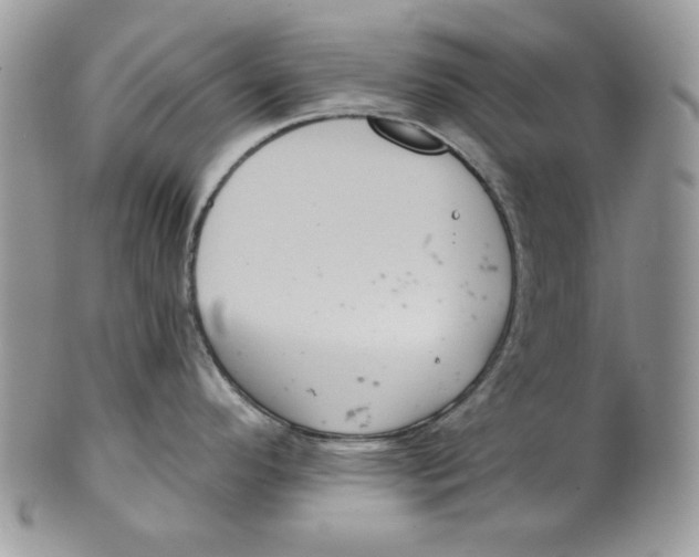 X0000101141296200807251017