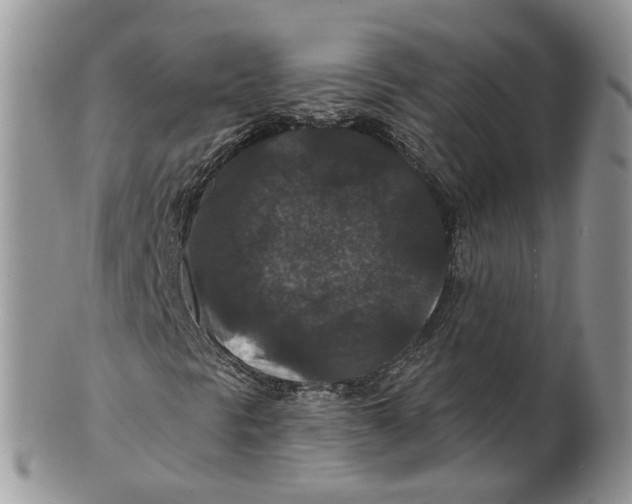 X0000101141297200807251017