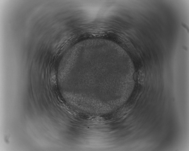 X0000101141298200807251017