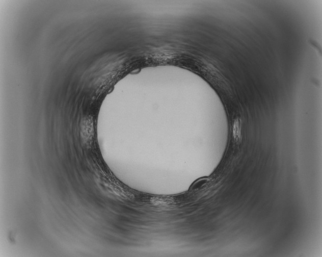 X0000101141299200807251017