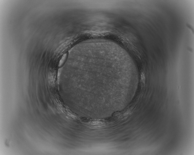 X0000101141300200807251017