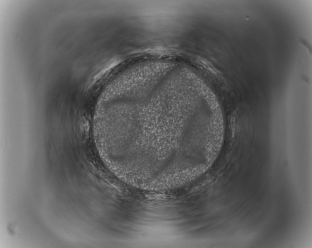 X0000101141302200807251017