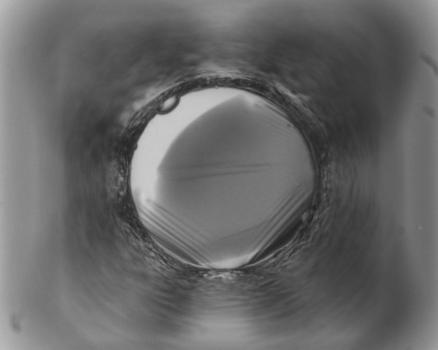 X0000101141303200807251017