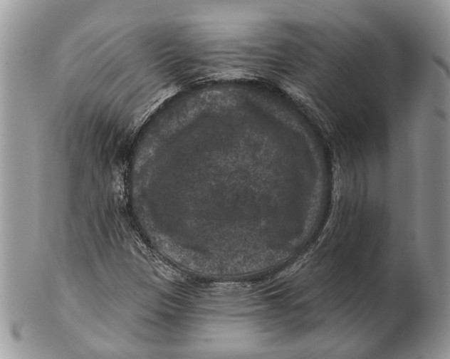 X0000101141305200807251017