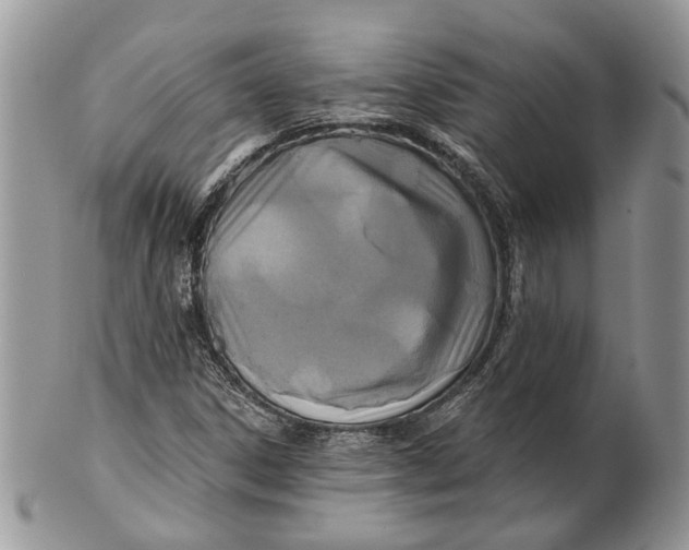 X0000101141306200807251017