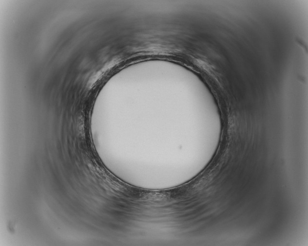 X0000101141307200807251017