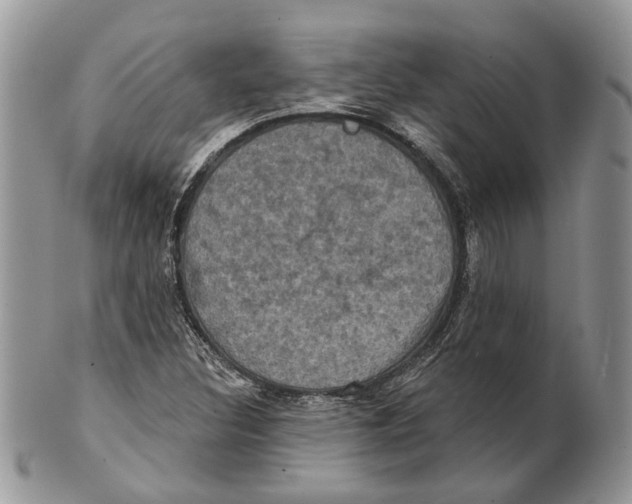 X0000101141308200807251017