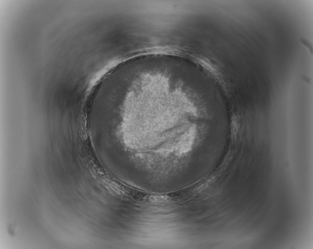 X0000101141310200807251017