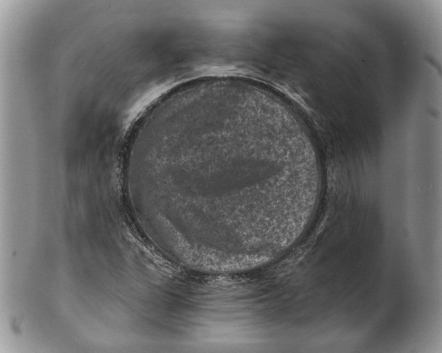 X0000101141311200807251017