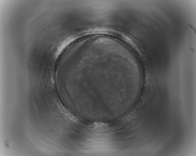 X0000101141312200807251017