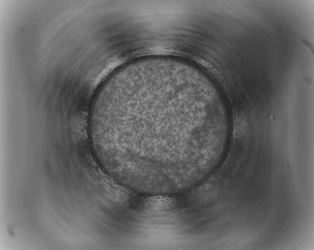 X0000101141314200807251017