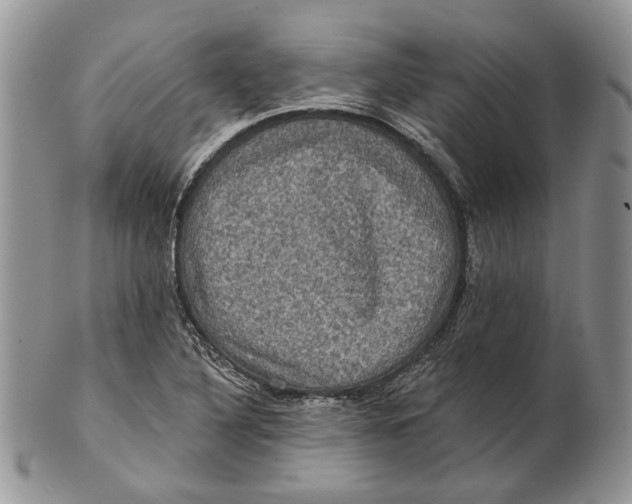 X0000101141316200807251017